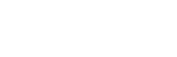 Design Science Digital